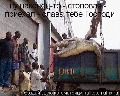 Котоматрица: ну наконец-то - столовая - приехал - слава тебе Господи