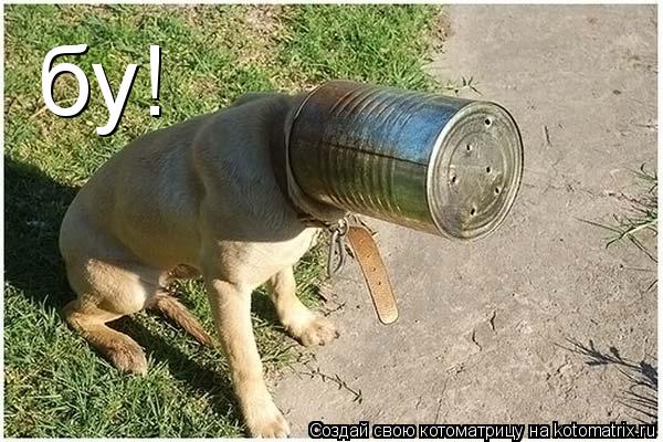 Котоматрица: бу!