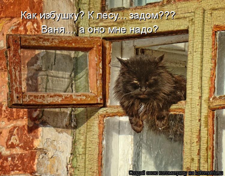 Котоматрица: Как избушку? К лесу... задом??? Ваня..., а оно мне надо?