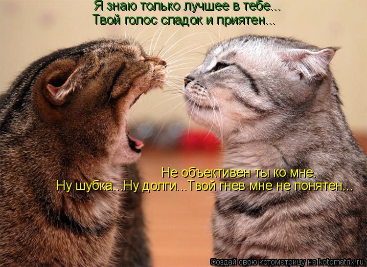 Котоматрица: Я знаю только лучшее в тебе... Твой голос сладок и приятен... Не объективен ты ко мне. Ну шубка...Ну долги...Твой гнев мне не понятен...