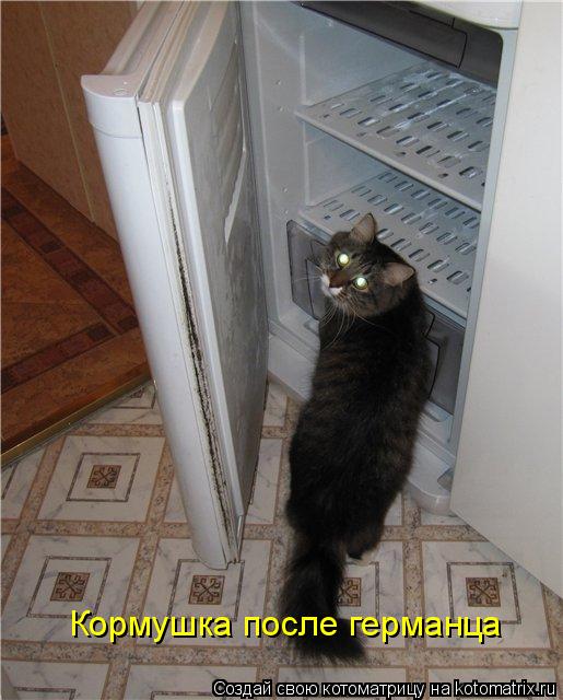 Котоматрица: Кормушка после германца