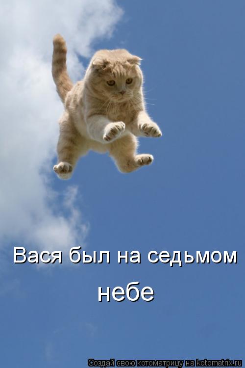 Котоматрица: Вася был на седьмом небе