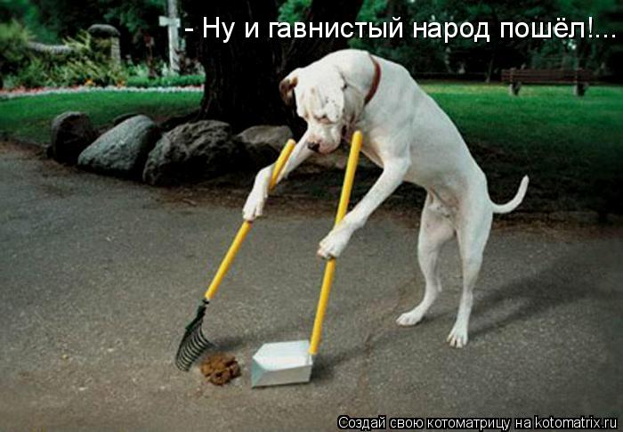 Котоматрица: - Ну и гавнистый народ пошёл!...