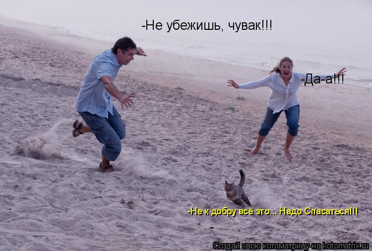 Котоматрица: -Не убежишь, чувак!!! -Не к добру всё это... Надо Спасаться!!! -Да-а!!!