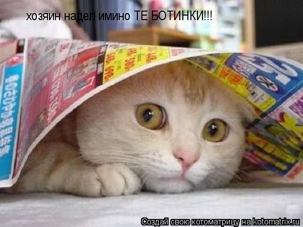 Котоматрица: хозяин надел имино ТЕ БОТИНКИ!!!