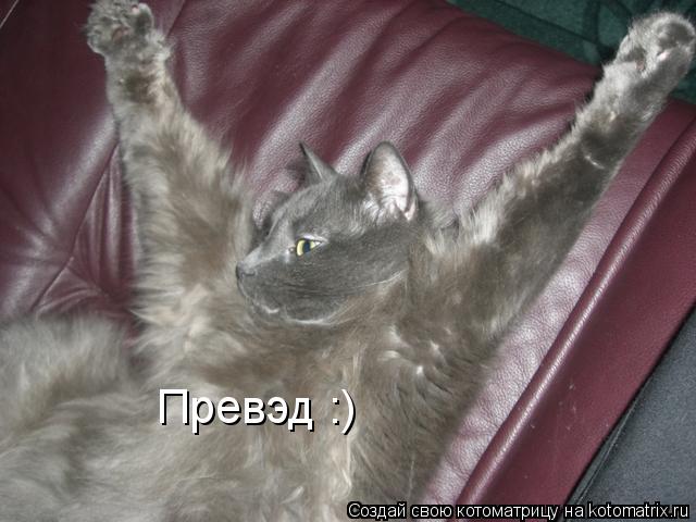 Котоматрица: Превэд :)