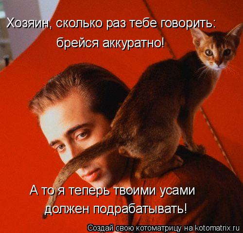Котоматрица: Хозяин, сколько раз тебе говорить:   брейся аккуратно!  А то я теперь твоими усами должен подрабатывать!