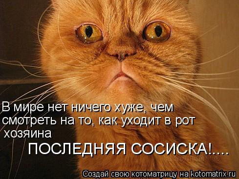 В мире нет ничего хуже, чем смотреть на то, как уходит в рот хозяина ПОСЛЕДНЯЯ СОСИСКА!....... Котоматрица: В мире нет ничего хуже, чем смотреть на то, как уходит в рот хозяина ПОСЛЕДНЯЯ СОСИСКА!....