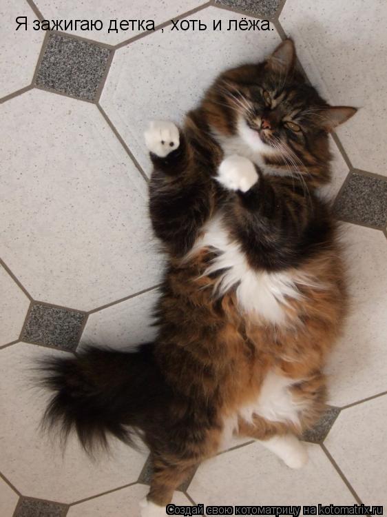 Котоматрица: Я зажигаю детка , хоть и лёжа.