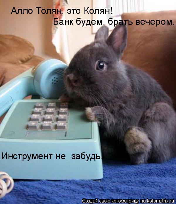 Котоматрица: Алло Толян, это Колян! Банк будем, брать вечером, Инструмент не  забудь.