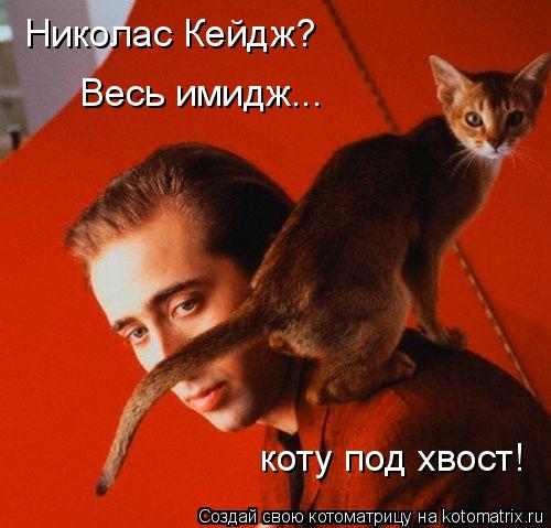 Котоматрица: Весь имидж... коту под хвост! Николас Кейдж?