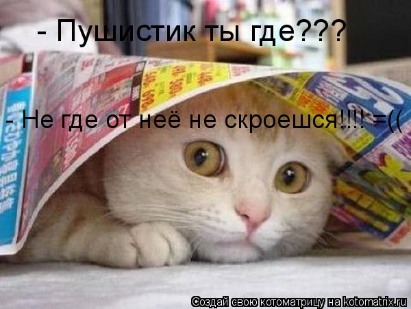 Котоматрица: - Пушистик ты где??? - Не где от неё не скроешся!!!! =((