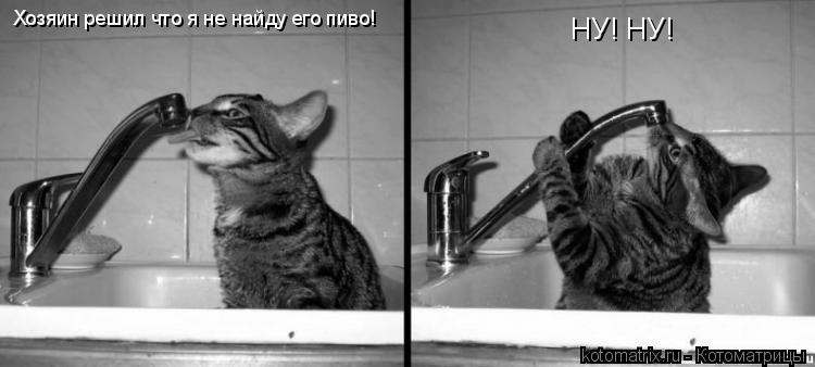 Котоматрица: Хозяин решил что я не найду его пиво! НУ! НУ!