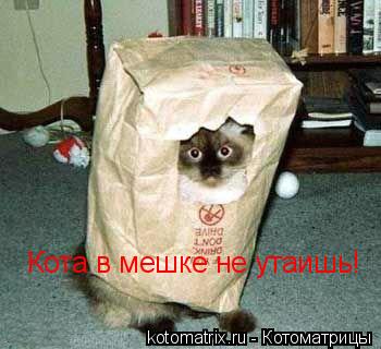 Кота в мешке не утаишь!... Котоматрица: Кота в мешке не утаишь!