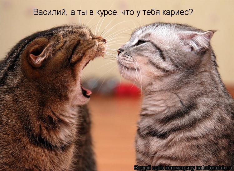 Котоматрица: Василий, а ты в курсе, что у тебя кариес?