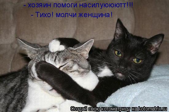 Котоматрица: - хозяин помоги насилуююютт!!! - Тихо! молчи женщина!