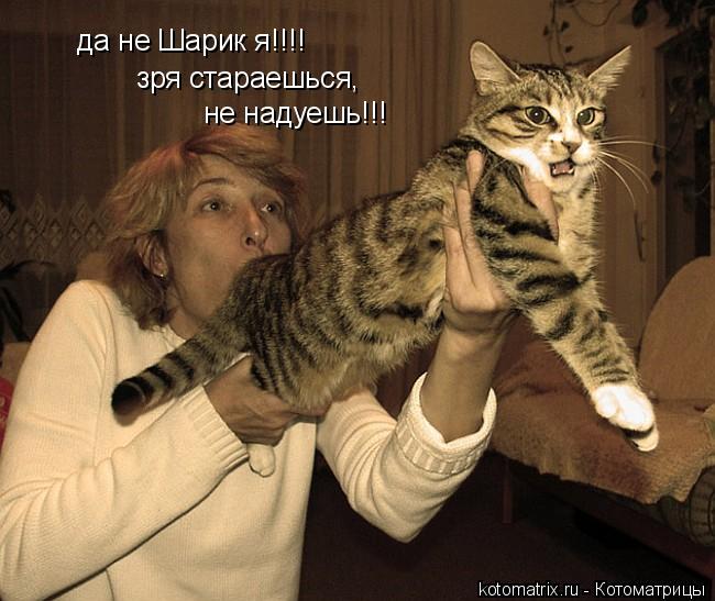 Котоматрица: да не Шарик я!!!! зря стараешься, не надуешь!!!
