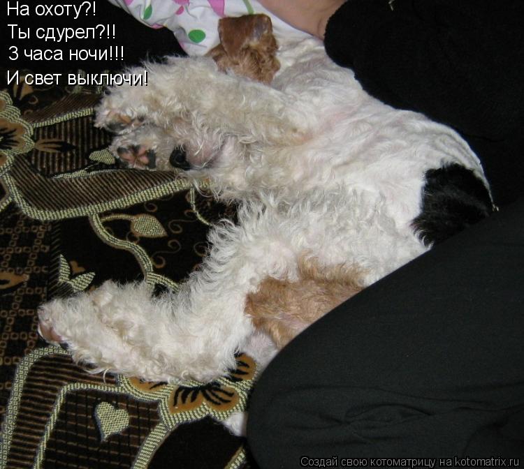 Котоматрица: На охоту?!  Ты сдурел?!!  3 часа ночи!!! И свет выключи!