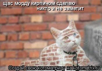 Котоматрица: щас морду кирпичом сделаю никто и не заметит