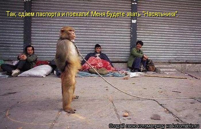 Котоматрица: Так, сдаем паспорта и поехали! Меня будете звать "Насяльника".