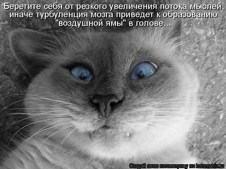 Берегите себя от резкого увеличения потока мыслей, иначе турбуленция мозга приведет к образованию "во... Котоматрица: Берегите себя от резкого увеличения потока мыслей, иначе турбуленция мозга приведет к образованию "воздушной ямы" в голове...