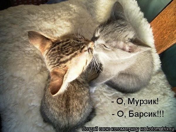 Котоматрица: - О, Мурзик! - О, Барсик!!!