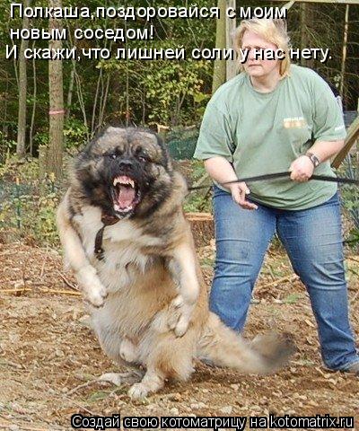 Полкаша,поздоровайся с моим новым соседом! И скажи,что лишней соли у нас нету.... Котоматрица: Полкаша,поздоровайся с моим новым соседом! И скажи,что лишней соли у нас нету.