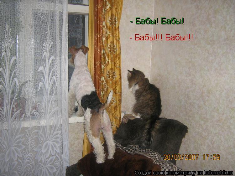 Котоматрица: - Бабы! Бабы! - Бабы!!! Бабы!!!