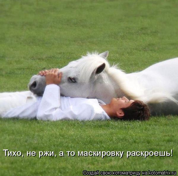 Тихо, не ржи, а то маскировку раскроешь!... Котоматрица: Тихо, не ржи, а то маскировку раскроешь!