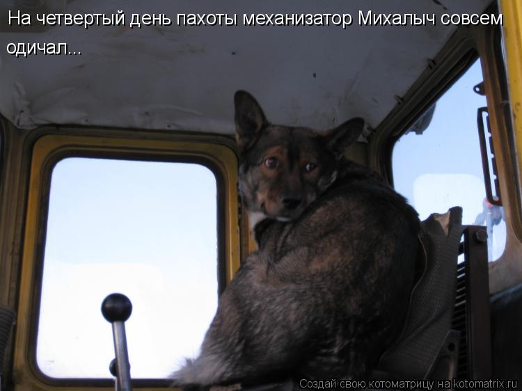 Котоматрица: На четвертый день пахоты механизатор Михалыч совсем одичал...