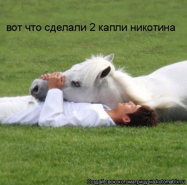 Котоматрица: вот что сделали 2 капли никотина
