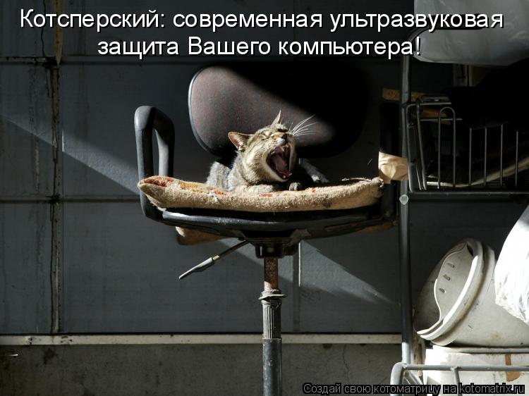 Котоматрица: Котсперский: современная ультразвуковая  защита Вашего компьютера!