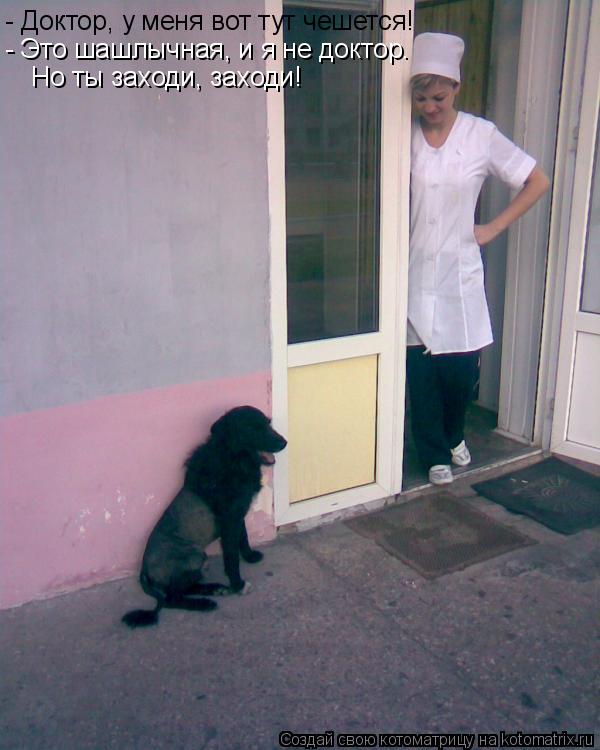 Котоматрица: - Доктор, у меня вот тут чешется! - Это шашлычная, и я не доктор.  Но ты заходи, заходи!