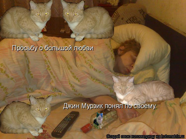 Котоматрица: Просьбу о большой любви Просьбу о большой любви Джин Мурзик понял по своему.