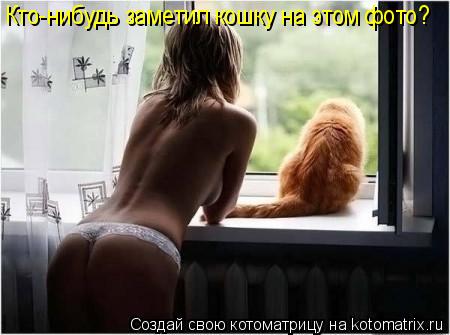 Кто-нибудь заметил кошку на этом фото?... Котоматрица: Кто-нибудь заметил кошку на этом фото?