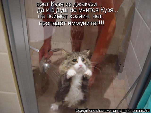 Котоматрица: воет Кузя из джакузи... да и в душ не мчится Кузя... не поймёт хозяин, нет, пропадёт иммунитет!!!