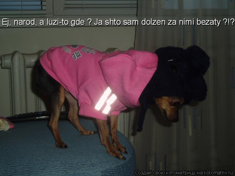 Котоматрица: Ej, narod, a luzi-to gde ? Ja shto sam dolzen za nimi bezaty ?!?