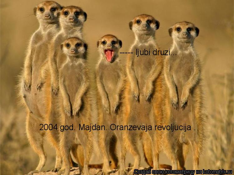 Котоматрица: 2004 god. Majdan. Oranzevaja revoljucija . ----- ljubi druzi...