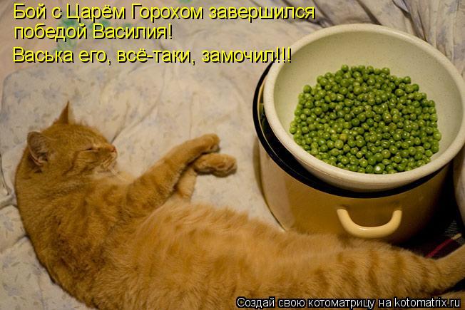 Котоматрица: Бой с Царём Горохом завершился победой Василия!  Васька его, всё-таки, замочил!!!