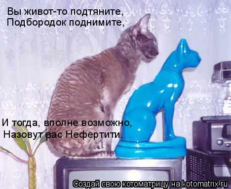 Котоматрица: Вы живот-то подтяните, Подбородок поднимите, Назовут вас Нефертити. И тогда, вполне возможно,