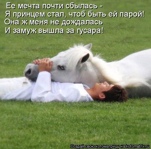 Котоматрица: Ее мечта почти сбылась - Я принцем стал, чтоб быть ей парой! Она ж меня не дождалась И замуж вышла за гусара!