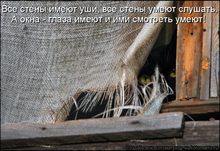 Котоматрица: Все стены имеют уши, все стены умеют слушать.  А окна - глаза имеют и ими смотреть умеют!
