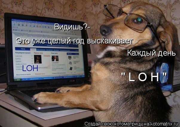 LOH Видишь?- Это уже целый год выскакивает Каждый день " L O H "... Котоматрица: LOH Видишь?- Это уже целый год выскакивает Каждый день " L O H "