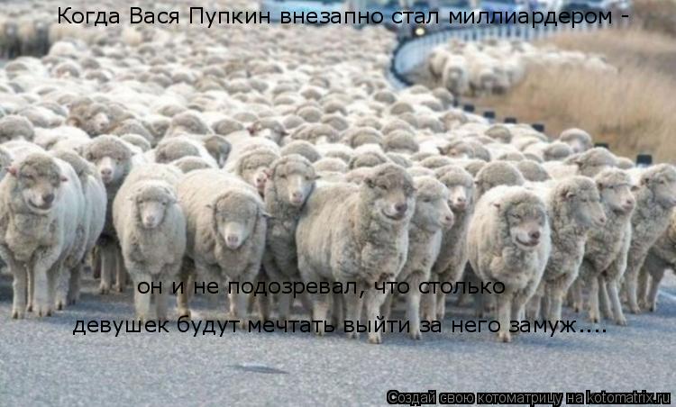 Котоматрица: Когда Вася Пупкин внезапно стал миллиардером -  он и не подозревал, что столько  девушек будут мечтать выйти за него замуж....