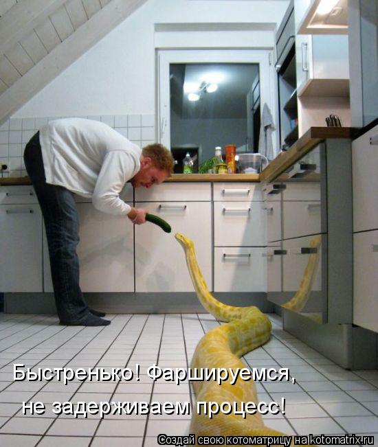 Котоматрица: Быстренько! Фаршируемся,  не задерживаем процесс!