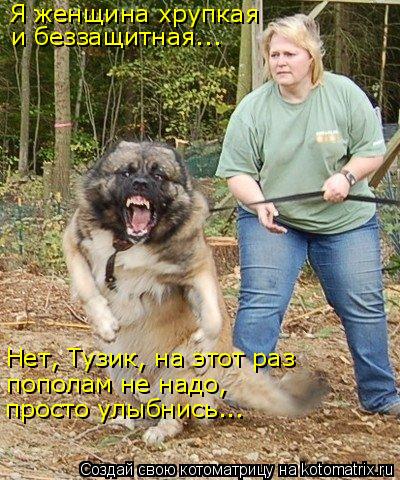 Котоматрица: Я женщина хрупкая  и беззащитная... Нет, Тузик, на этот раз  пополам не надо, просто улыбнись...