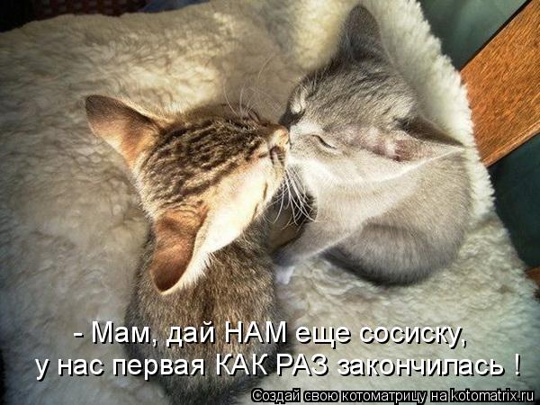 у нас первая КАК РАЗ закончилась ! - Мам, дай НАМ еще сосиску,... Котоматрица: у нас первая КАК РАЗ закончилась ! - Мам, дай НАМ еще сосиску,