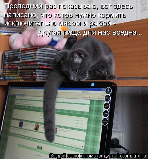 Последний раз показываю, вот здесь написано, что котов нужно кормить исключительно мясом и рыбой - д... Котоматрица: Последний раз показываю, вот здесь написано, что котов нужно кормить исключительно мясом и рыбой - другая пища для нас вредна...