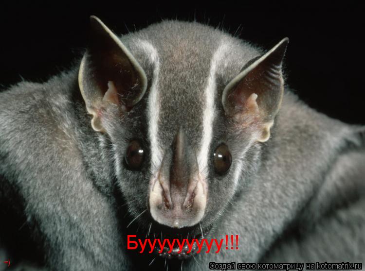 Котоматрица: Бууууууууу!!! =)