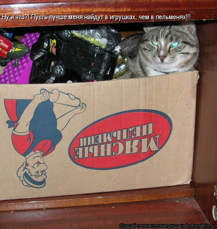 Котоматрица: Ну и что?! Пусть лучше меня найдут в игрушках, чем в пельменях!!!